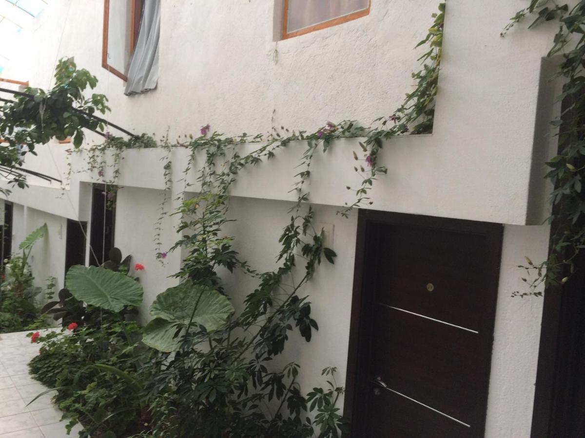 Family Hotel Belvedere Dŭlgopol Exterior foto